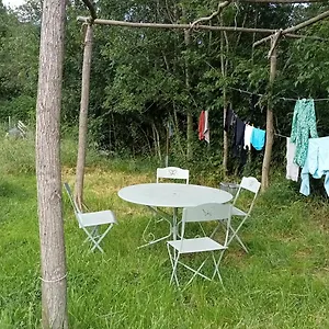 L'oiseau Rieur Darbres